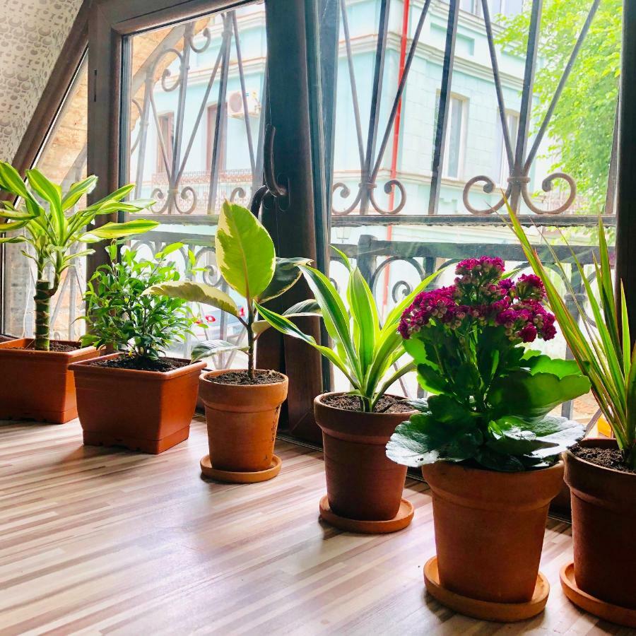 H&B apartments Akhvelediani II Tbilisi Eksteriør bilde